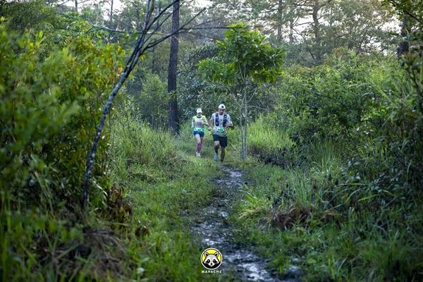 Fotografía de TrailRun Montecristo 2026