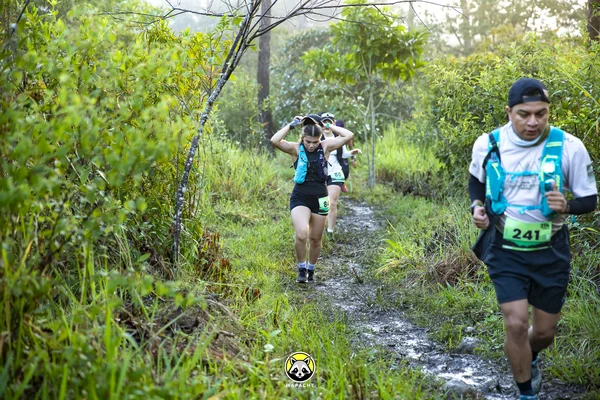 Fotografía de TrailRun Montecristo 2026