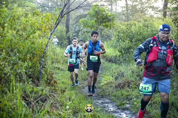 Fotografía de TrailRun Montecristo 2026