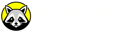 Mapache Studio